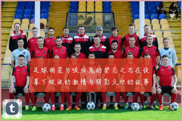 足球明星与吸血鬼的禁忌之恋在夜幕下绽放的激情与阴影交织的故事
