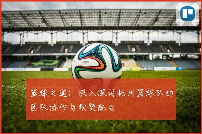 篮球之道：深入探讨杭州篮球队的团队协作与默契配合