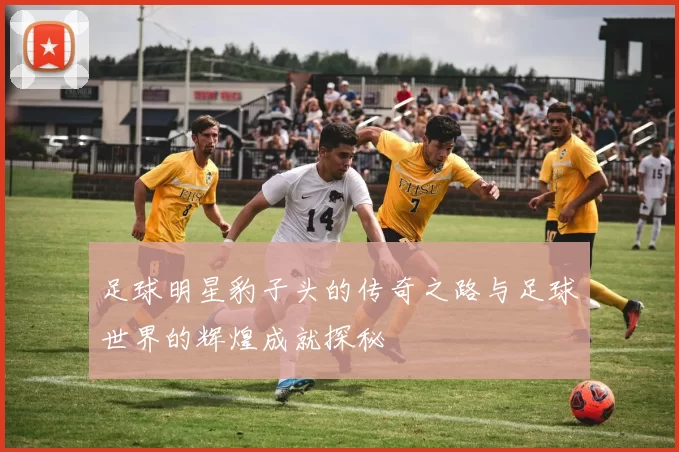 足球明星豹子头的传奇之路与足球世界的辉煌成就探秘