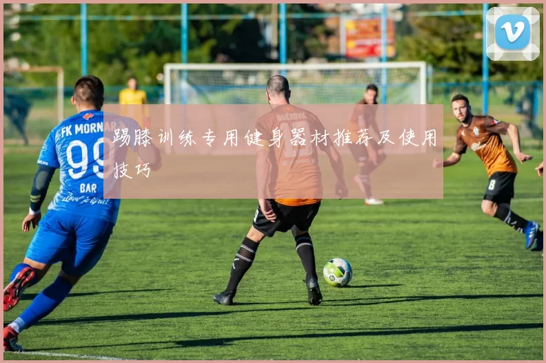 踢膝训练专用健身器材推荐及使用技巧