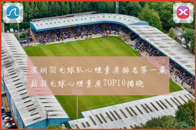 深圳羽毛球队心理素质排名第一最新羽毛球心理素质TOP10揭晓