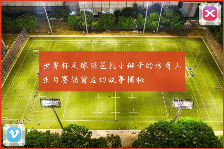世界杯足球明星扎小辩子的传奇人生与赛场背后的故事揭秘