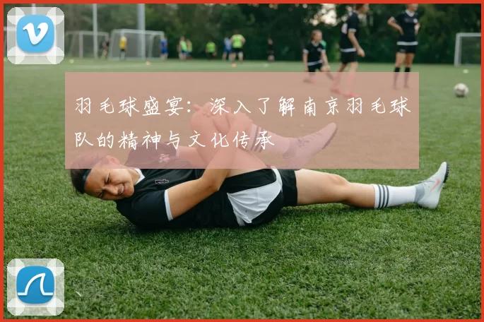 羽毛球盛宴：深入了解南京羽毛球队的精神与文化传承