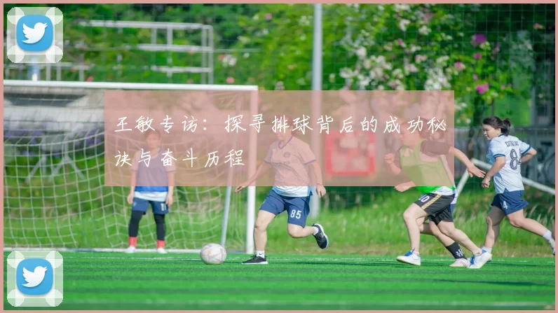 王敏专访：探寻排球背后的成功秘诀与奋斗历程