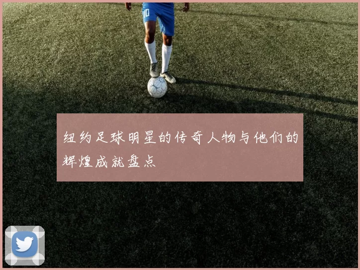 纽约足球明星的传奇人物与他们的辉煌成就盘点