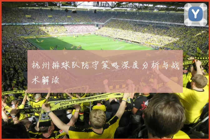 杭州排球队防守策略深度分析与战术解读