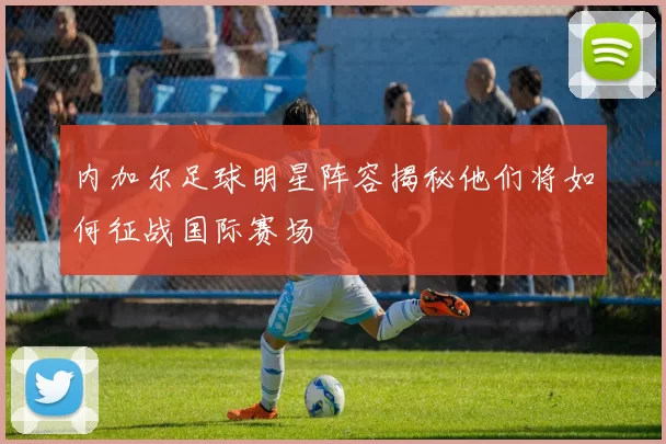内加尔足球明星阵容揭秘他们将如何征战国际赛场