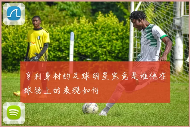 亨利身材的足球明星究竟是谁他在球场上的表现如何
