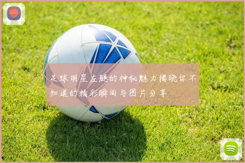 足球明星左腿的神秘魅力揭晓你不知道的精彩瞬间与图片分享