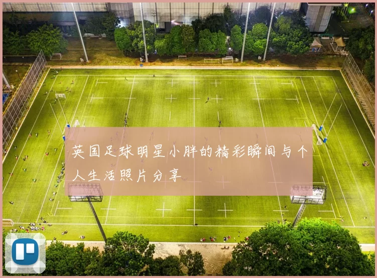 英国足球明星小胖的精彩瞬间与个人生活照片分享