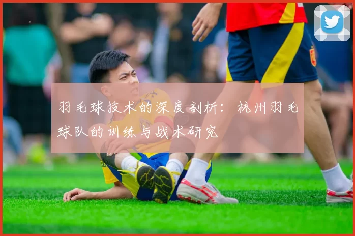 羽毛球技术的深度剖析：杭州羽毛球队的训练与战术研究