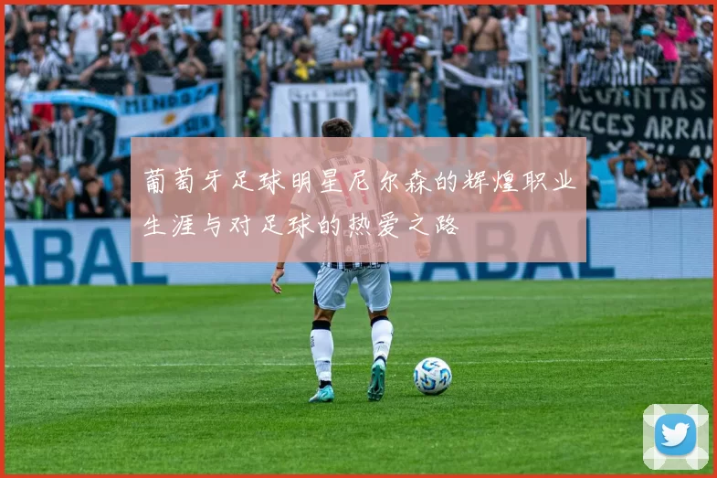 葡萄牙足球明星尼尔森的辉煌职业生涯与对足球的热爱之路