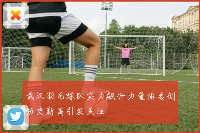 武汉羽毛球队实力飙升力量排名创历史新高引发关注
