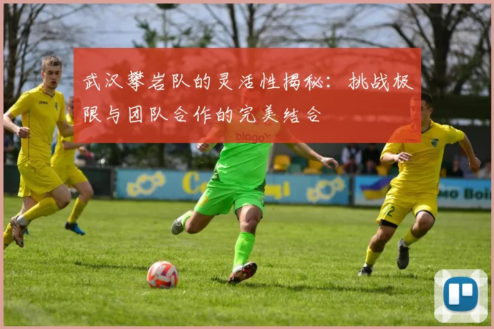 武汉攀岩队的灵活性揭秘：挑战极限与团队合作的完美结合