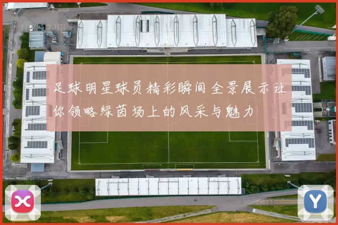 足球明星球员精彩瞬间全景展示让你领略绿茵场上的风采与魅力