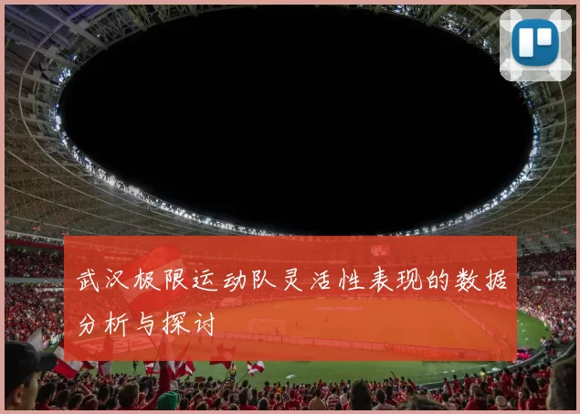 武汉极限运动队灵活性表现的数据分析与探讨