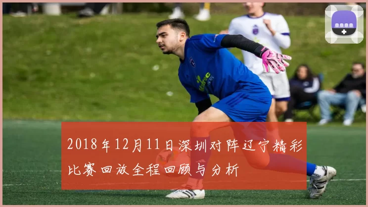 2018年12月11日深圳对阵辽宁精彩比赛回放全程回顾与分析