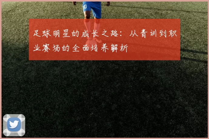 足球明星的成长之路：从青训到职业赛场的全面培养解析