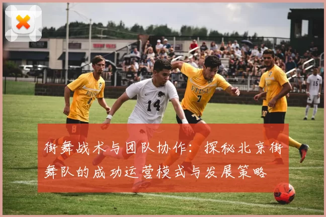 街舞战术与团队协作：探秘北京街舞队的成功运营模式与发展策略