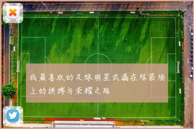 我最喜欢的足球明星武磊在绿茵场上的拼搏与荣耀之路
