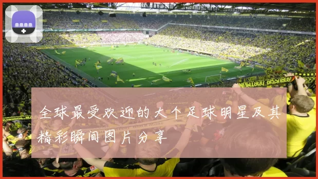 全球最受欢迎的大个足球明星及其精彩瞬间图片分享