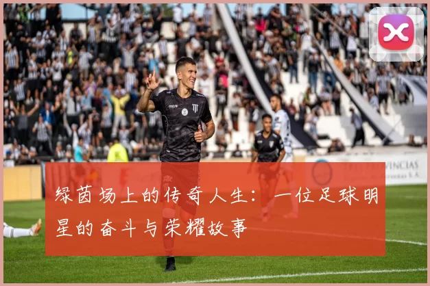 绿茵场上的传奇人生：一位足球明星的奋斗与荣耀故事