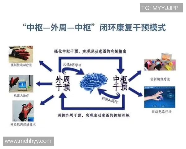运动康复的科学原理与实践应用探索及其对健康恢复的促进作用